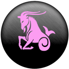 CAPRICORN image of Horoscope Specialist Astrologer In Delhi, India - Aditya Shastri